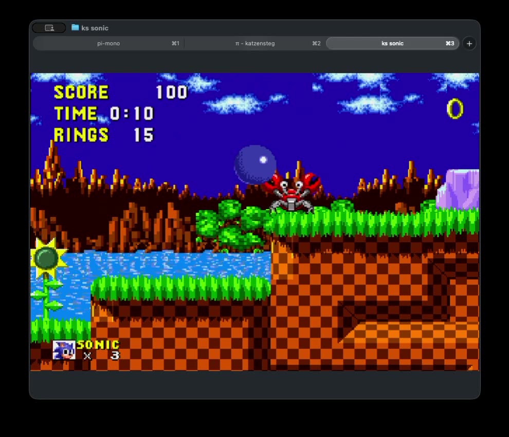 Sonic the Hedgehog running in Ghostty via katzensteg